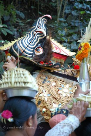 Jungle offerings 17 wm.jpg